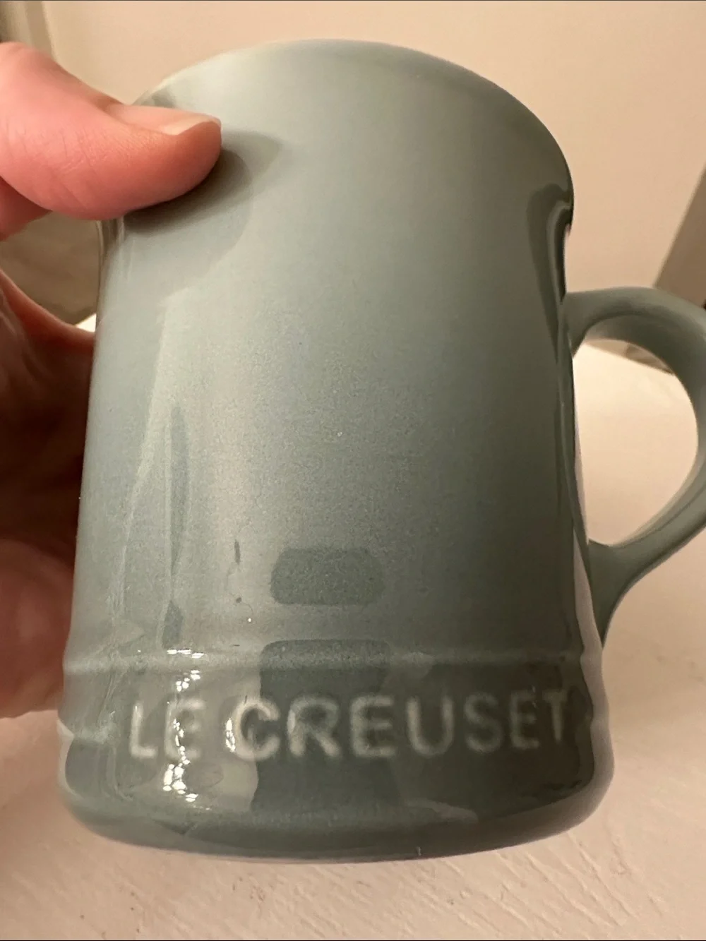 Le Creuset Vancouver Mug in the color Sea Salt. 14 oz